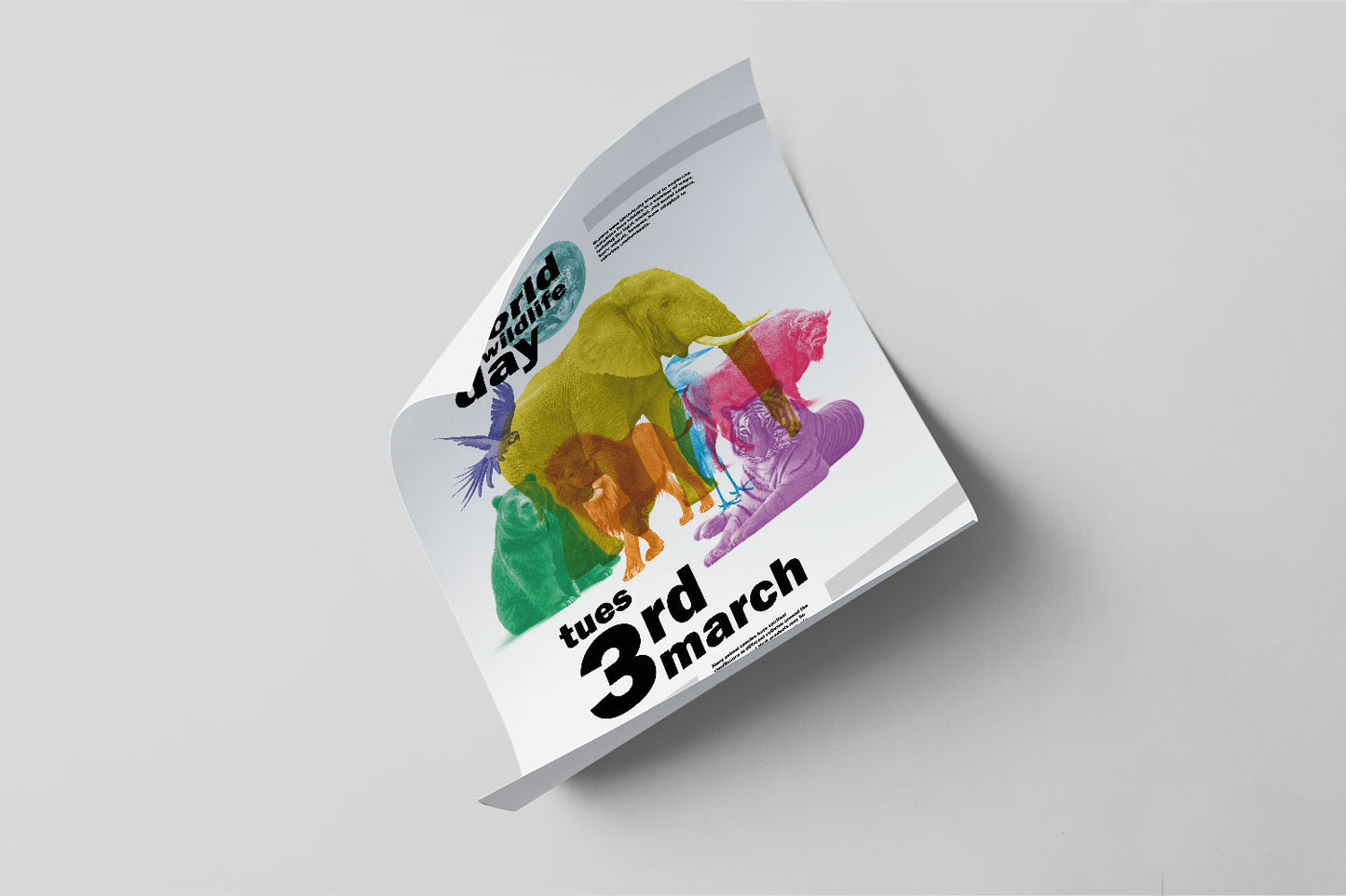 Posters - Fully Recycled